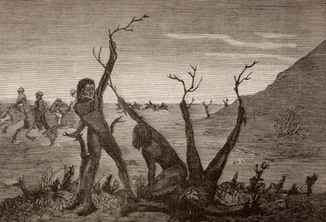 The Tree Men of India in the 19th Century, from 